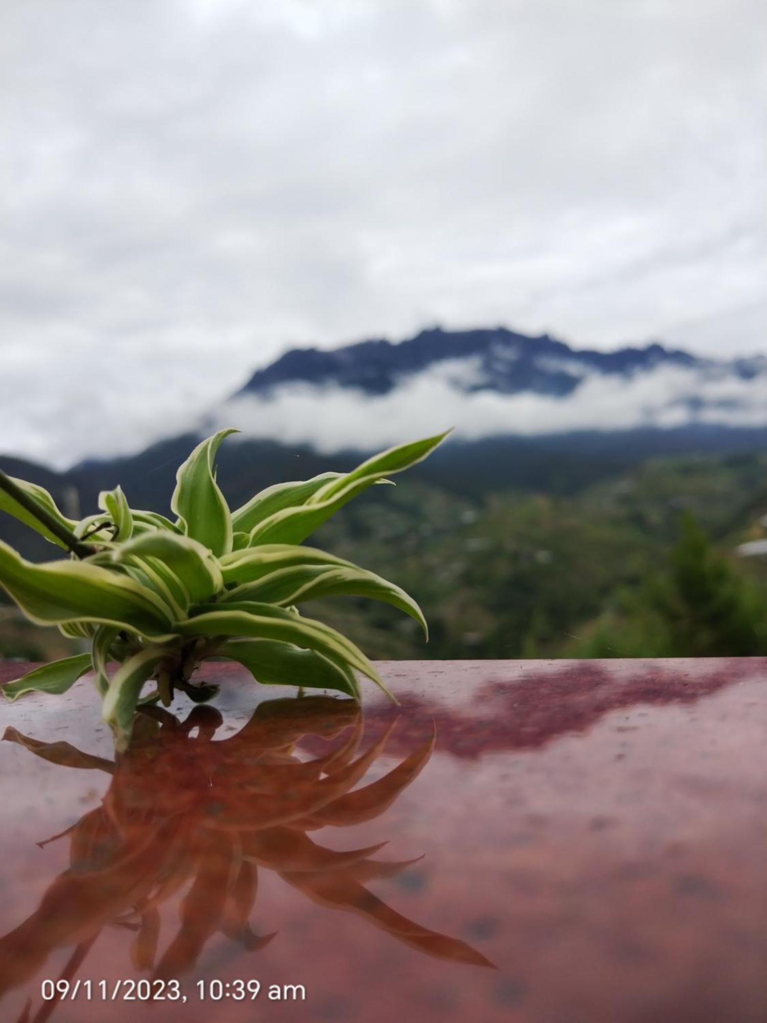 Highland Homestay Kundasang ราเนา ภายนอก รูปภาพ